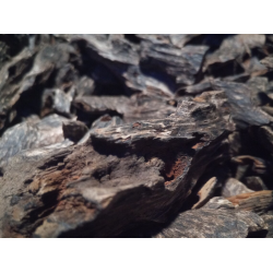 Organic Agar wood, Nailed A+ Heavy plantation/cultivated chips