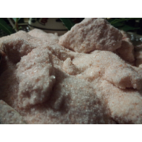 Pink Himalayan Salt - Fine, Hues & Tints Spices