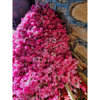 Taif Saudi Pure Rose essential oil